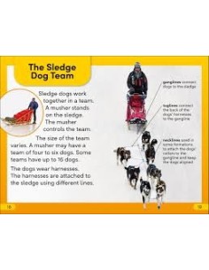 DK Super Readers Level 2 Snow Dogs 2