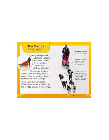 DK Super Readers Level 2 Snow Dogs