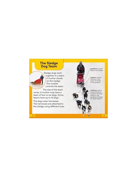DK Super Readers Level 2 Snow Dogs