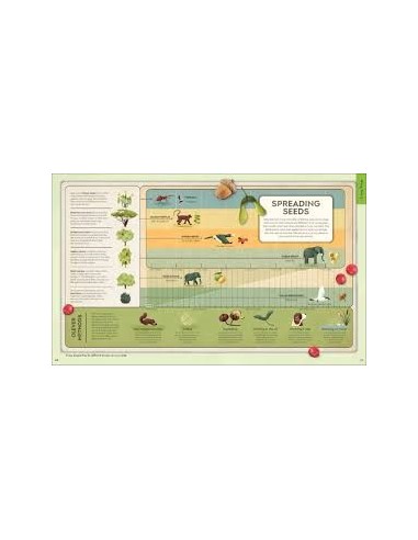 Explore: Science : A Visual Journey Through Our World