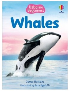 Beginners Whales