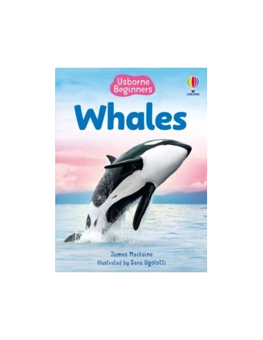 Beginners Whales