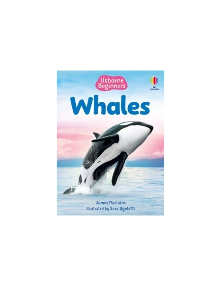 Beginners Whales