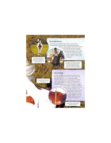 copy of The Egg Book