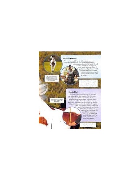 copy of The Egg Book