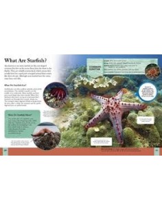 copy of copy of copy of copy of copy of 75 Fantastic Physics Facts Every Kid Should Know! 2