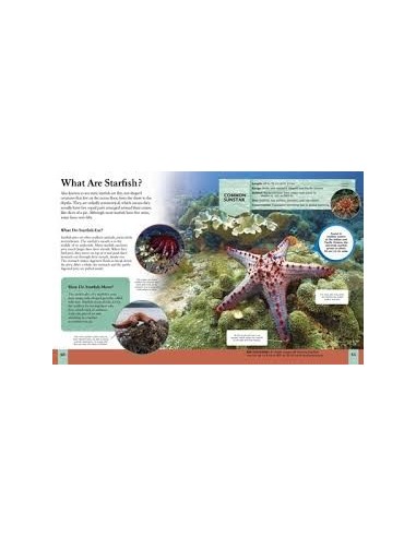 Questions and Answers About Oceans