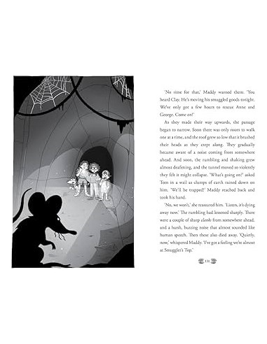 copy of The New Famous Five: Five and the Forgotten Treasure