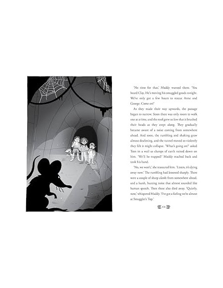 copy of The New Famous Five: Five and the Forgotten Treasure