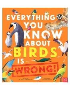 Everything You Know About Birds is Wrong!