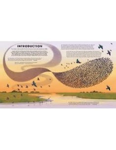 Everything You Know About Birds is Wrong! 2