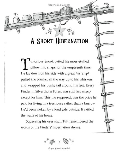 Finders of Silverthorn Forest: The Faraway Adventure