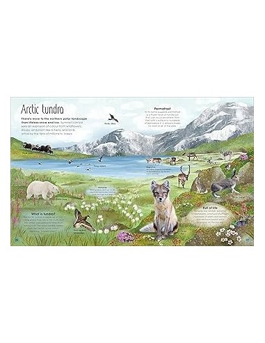 copy of copy of copy of copy of My First Book of Sea Creatures