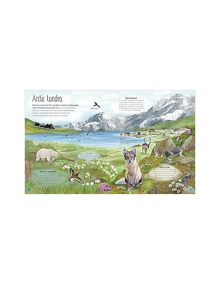 copy of copy of copy of copy of My First Book of Sea Creatures