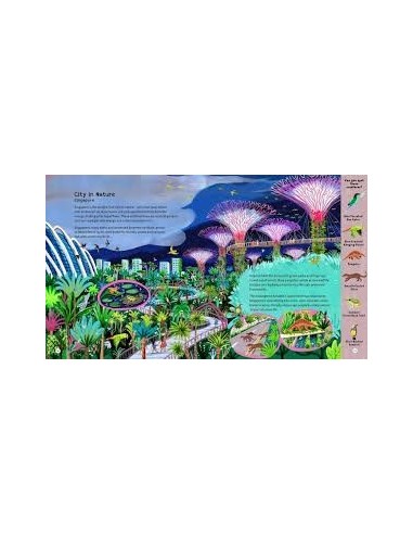 Cities Going Wild : To Save the Planet