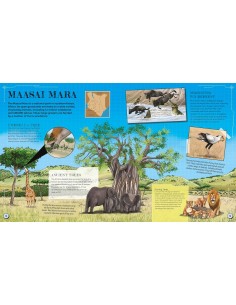 copy of copy of copy of The Spectacular Science of Buildings 2