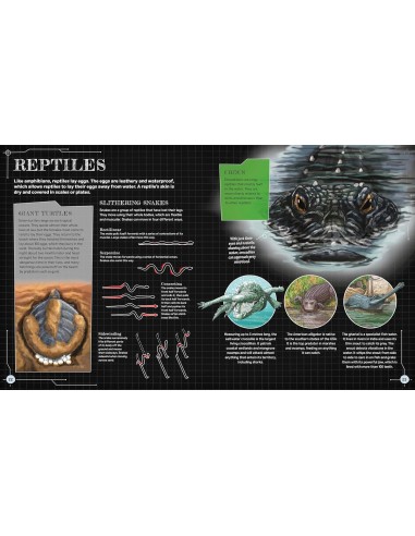 The Spectacular Science of the Living World