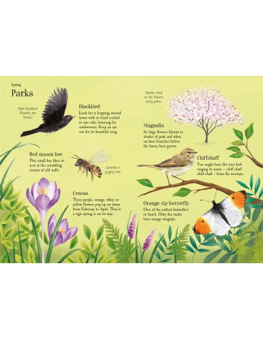 Lots of Things to Spot throughout the year