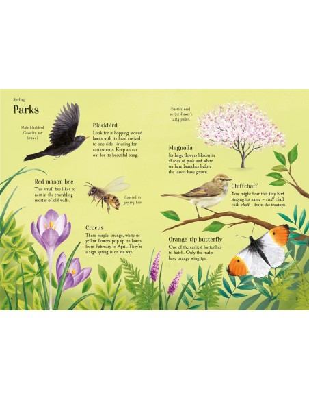 Lots of Things to Spot throughout the year