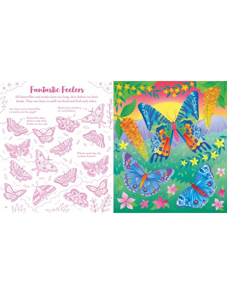 Usborne Scratch Activities Butterflies