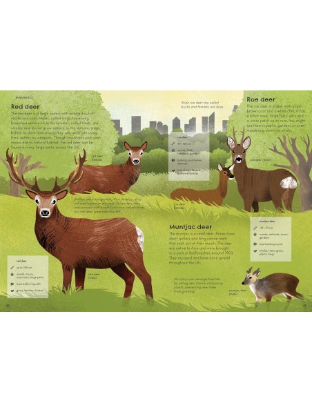 RSPB Nature Guide: Urban Wildlife