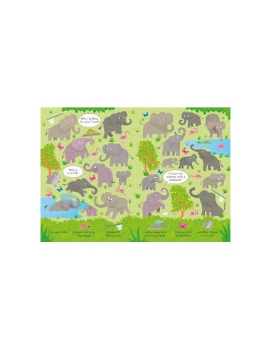 Can you Spot? Animals