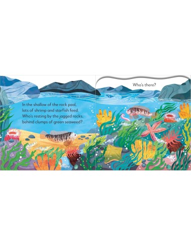Pop-Up Peekaboo! Seashore