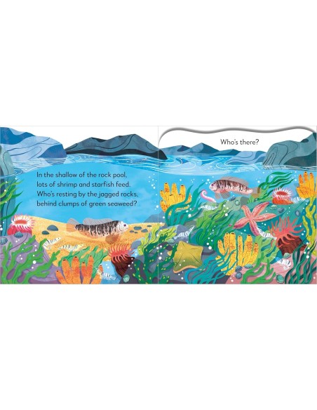 Pop-Up Peekaboo! Seashore