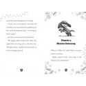 Dragon Girls. Willa the Silver Glitter Dragon (Dragon Girls. Willa the Silver Glitter Dragon