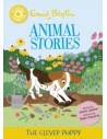 Reading Champion: Enid Blyton animal stories: The Clever Puppy