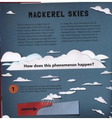 Science Experiments at Home : Discover the science in everyday life 2